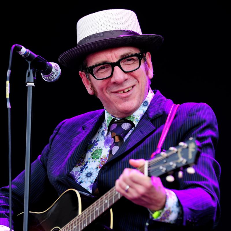 Musician Elvis Costello